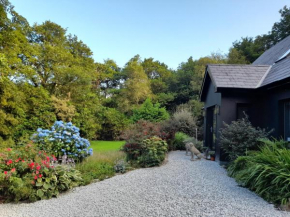 The Black Hare, Ballylickey